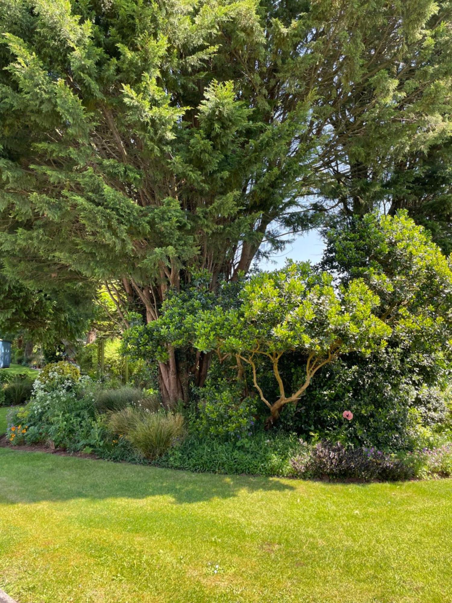 Leylands Annexe Βίλα East Harptree Εξωτερικό φωτογραφία