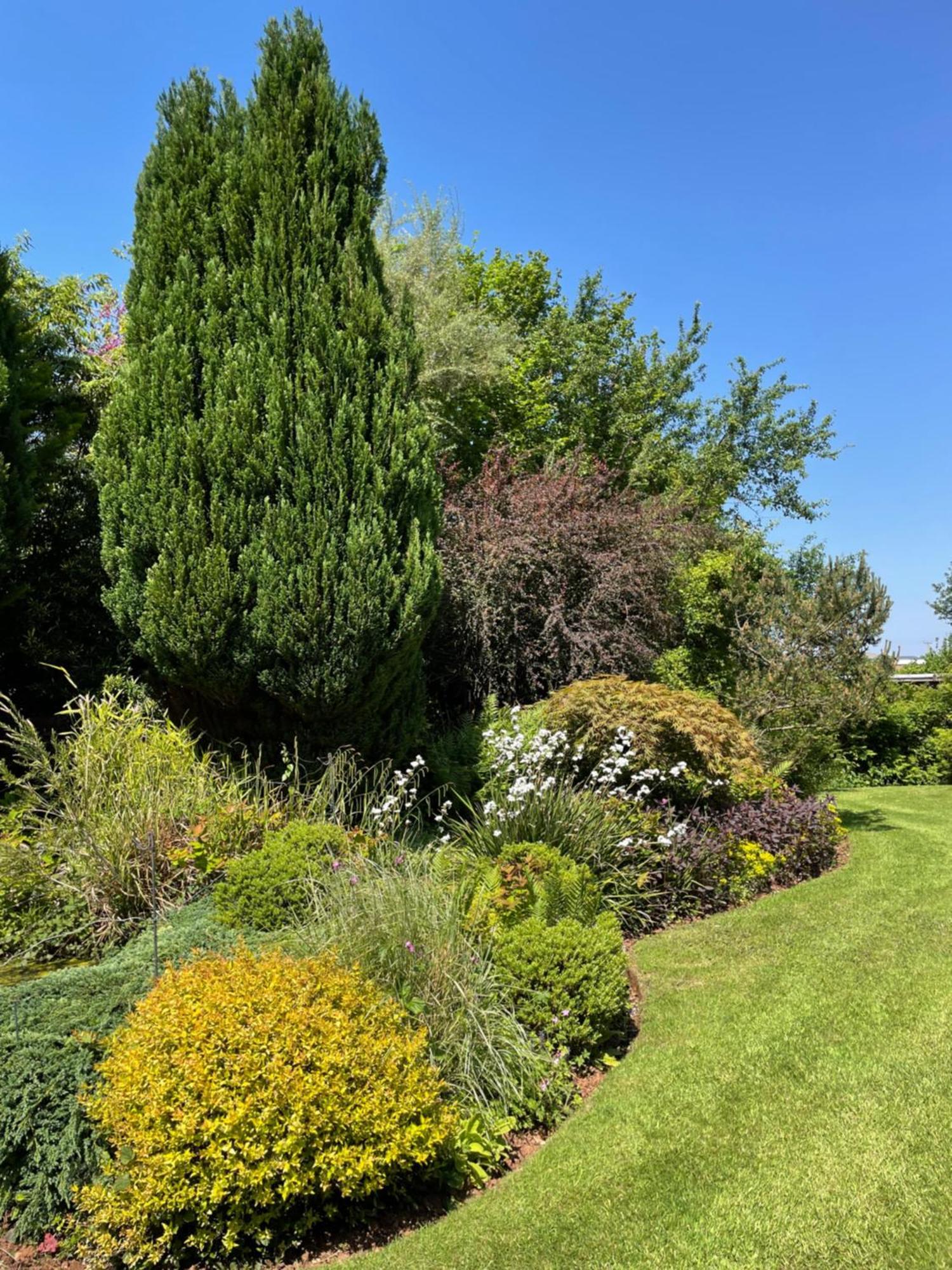 Leylands Annexe Βίλα East Harptree Εξωτερικό φωτογραφία